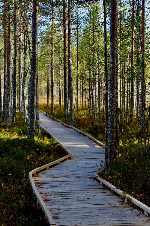 Kaetkae Lake Lodge Tervola Eksteriør bilde