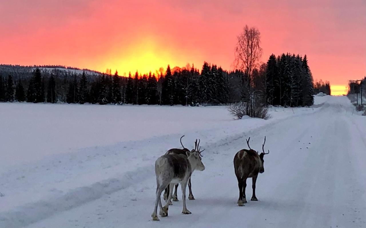 Kaetkae Lake Lodge Tervola Eksteriør bilde